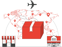 Company Growth and Vision